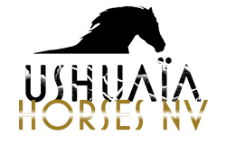 Ushuaïa Horses Logo